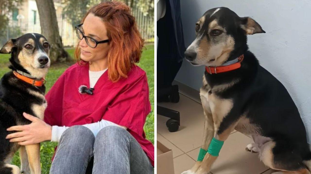 A sinistra Nada con la sua padrona; a destra negli attimi del malore da intossicazione