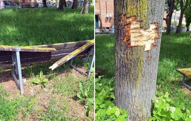 Panchine sfasciate e alberi tagliati: aree verdi nel mirino a Pontelagoscuro