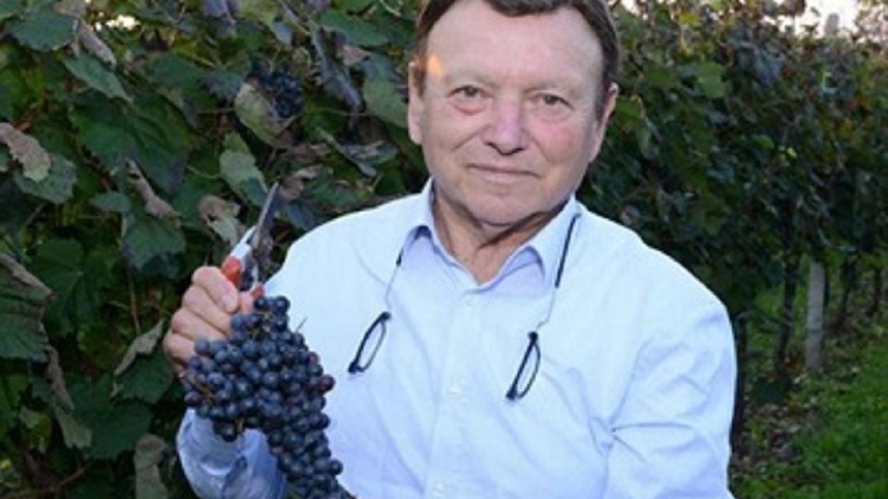 Imprenditore del vino muore e lascia l’azienda ai dipendenti: «Un onore e una grande responsabilità»