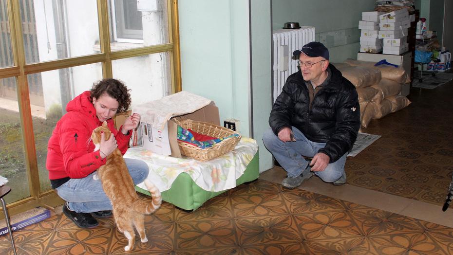 Pistoia, via libera al gattile comunale e al cimitero per gli animali