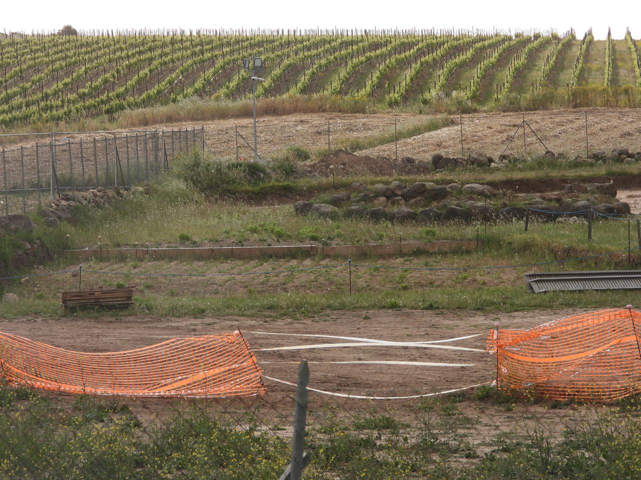 
	In primo piano l'area degli scavi e sullo sfondo la vigna (foto fgp)

