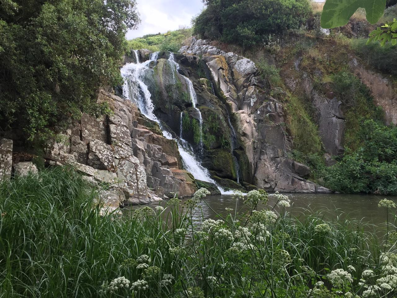 Bambino scompare all’imbrunire da un B&B di Martis: il paese si mobilita, trovato in campagna