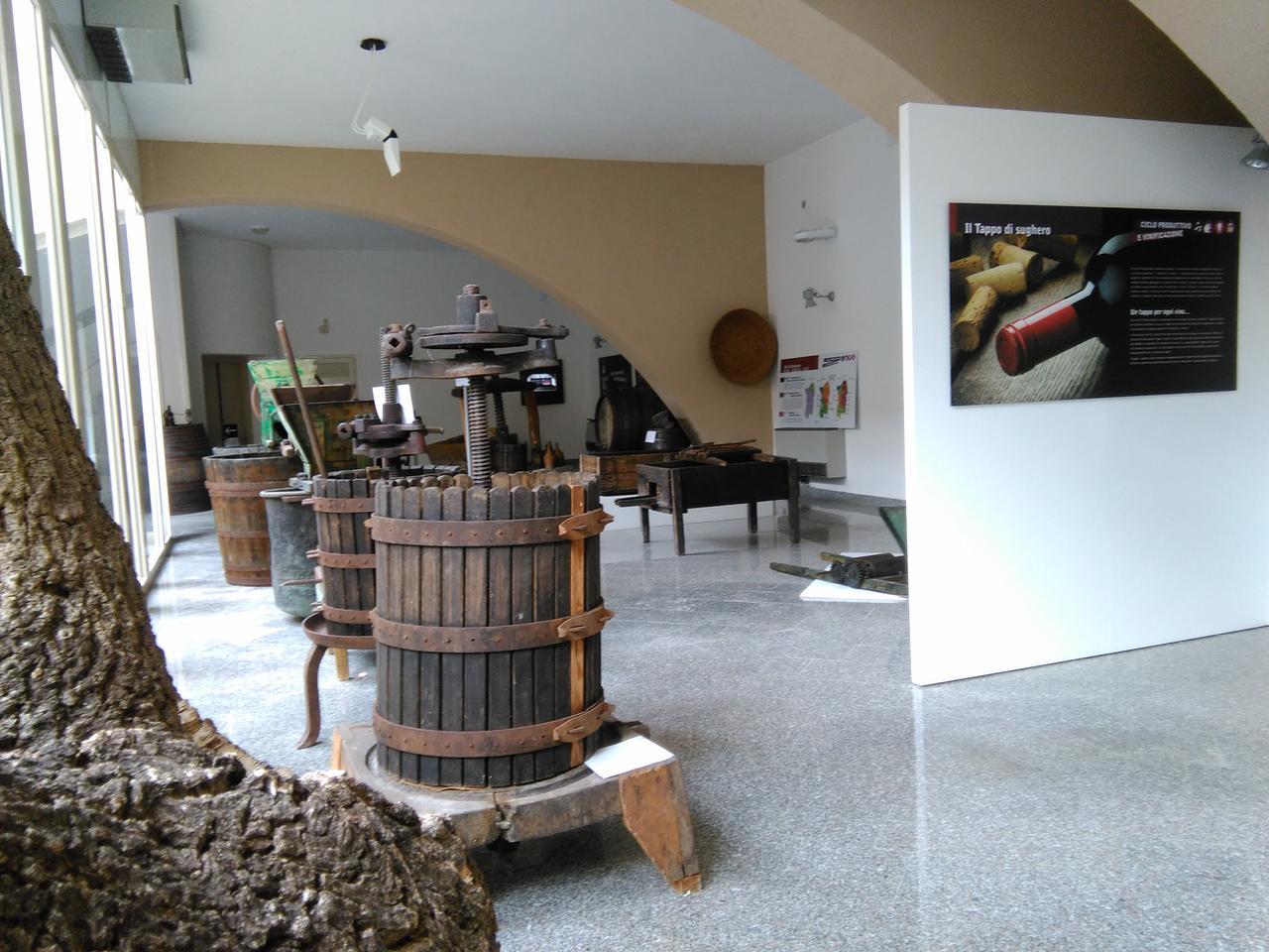 il museo del vino di berchidda 