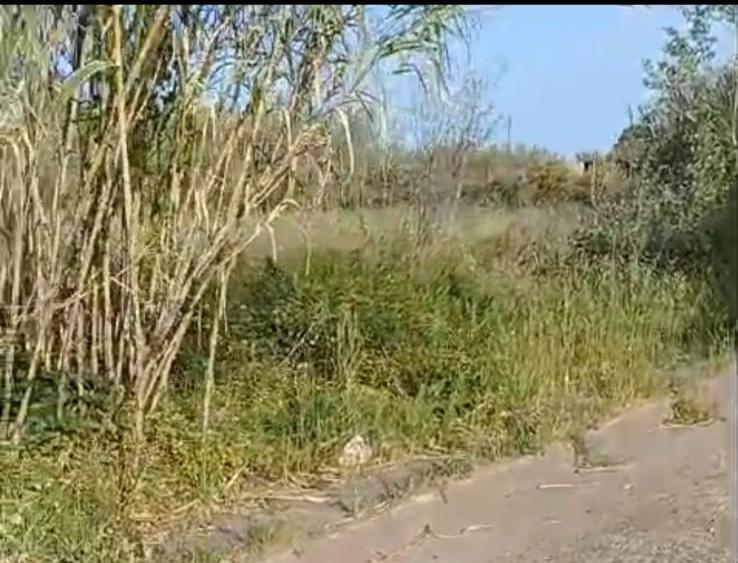 
	Corso Vespucci a Solanas

