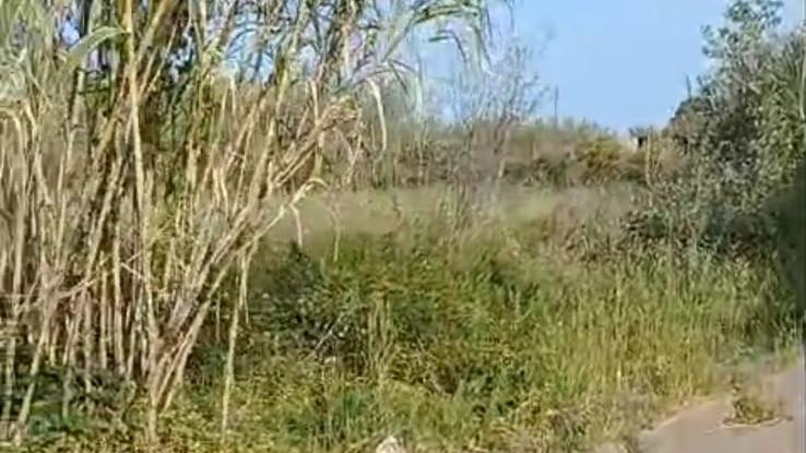 Corso Vespucci a Solanas