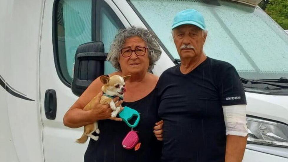 Azzannato al braccio dal rottweiler: il terrore, le ferite e le scuse del proprietario