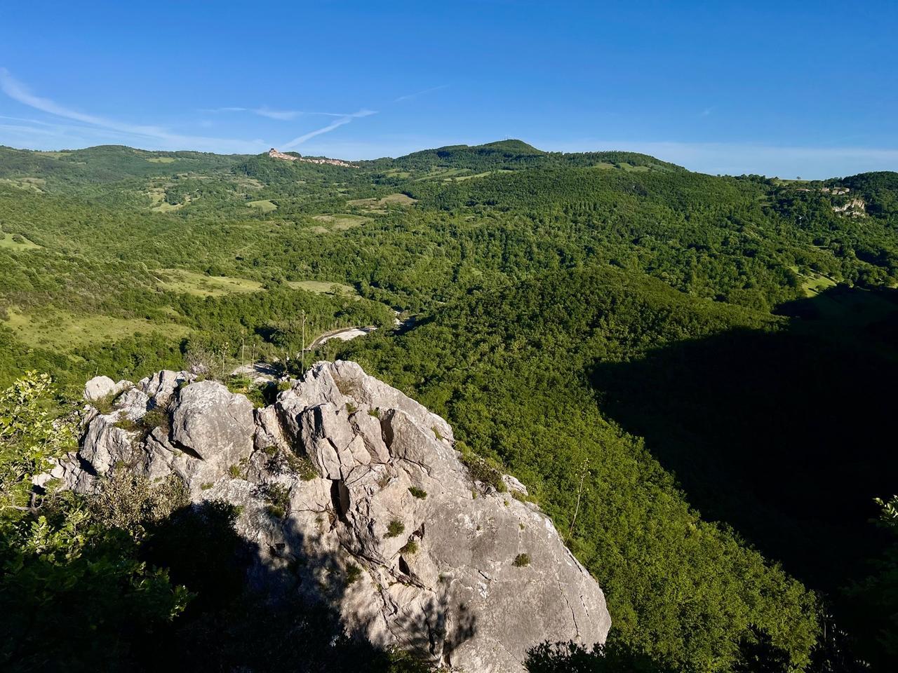 
	Bosco Rocconi

