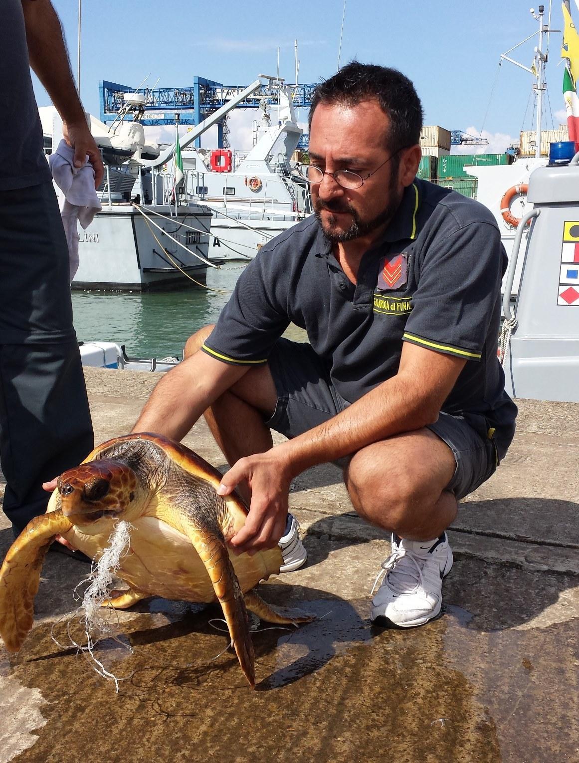 Tartaruga impigliata in una lenza salvata dalle Fiamme gialle 