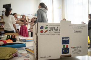 Modena, malessere dopo aver mangiato pomodorini: sono 132 i bambini coinvolti, più sette insegnanti, in quattro scuole
