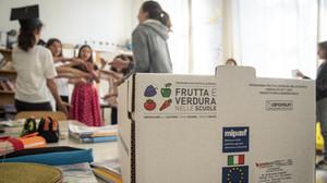 Modena, malessere dopo aver mangiato pomodorini: sono 132 i bambini coinvolti, più sette insegnanti, in quattro scuole