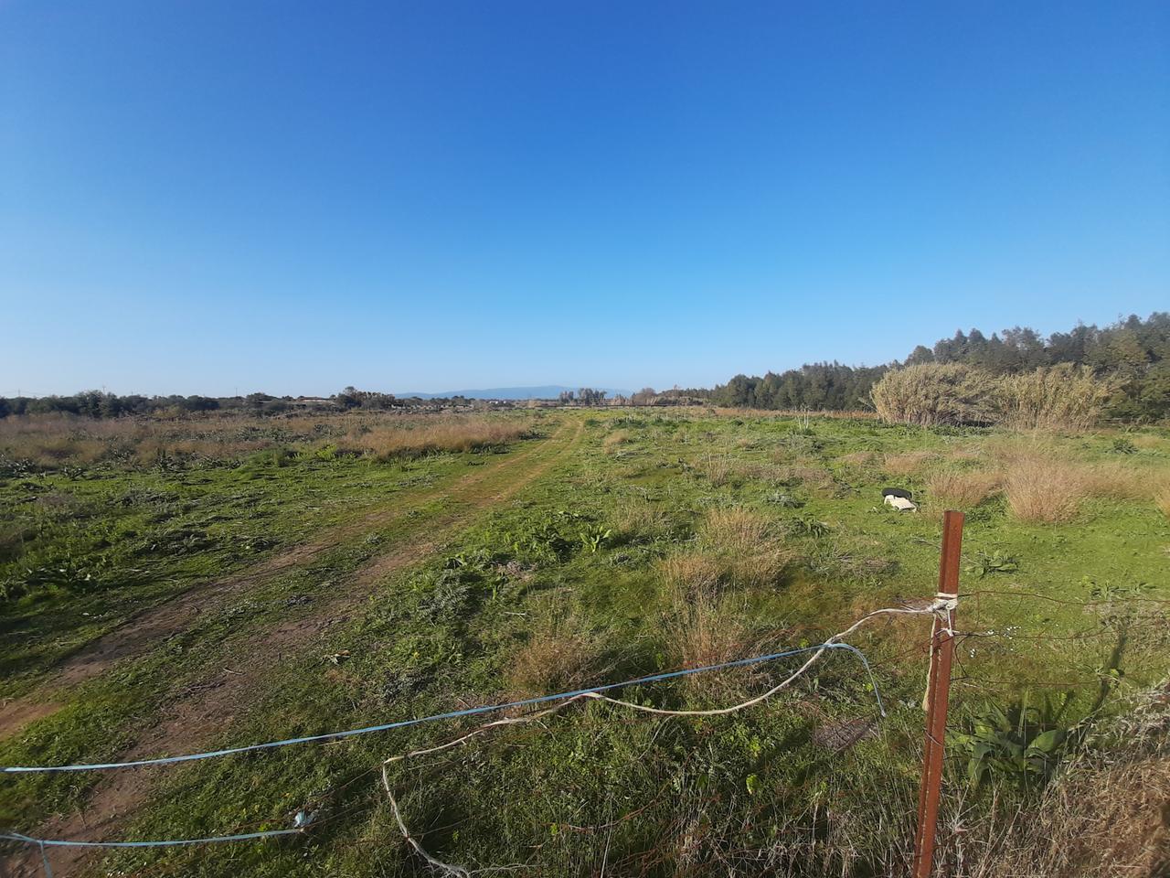 
	L'ex discarica comunale di Sil&igrave;

