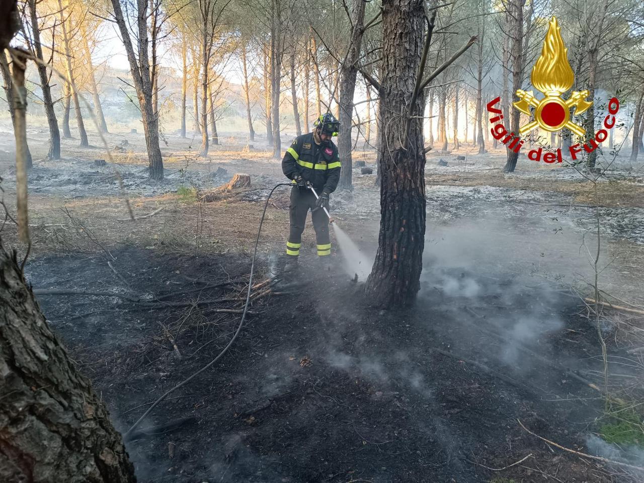 Muros, incendio nell’azienda San Martino: intervengono i vigili del fuoco