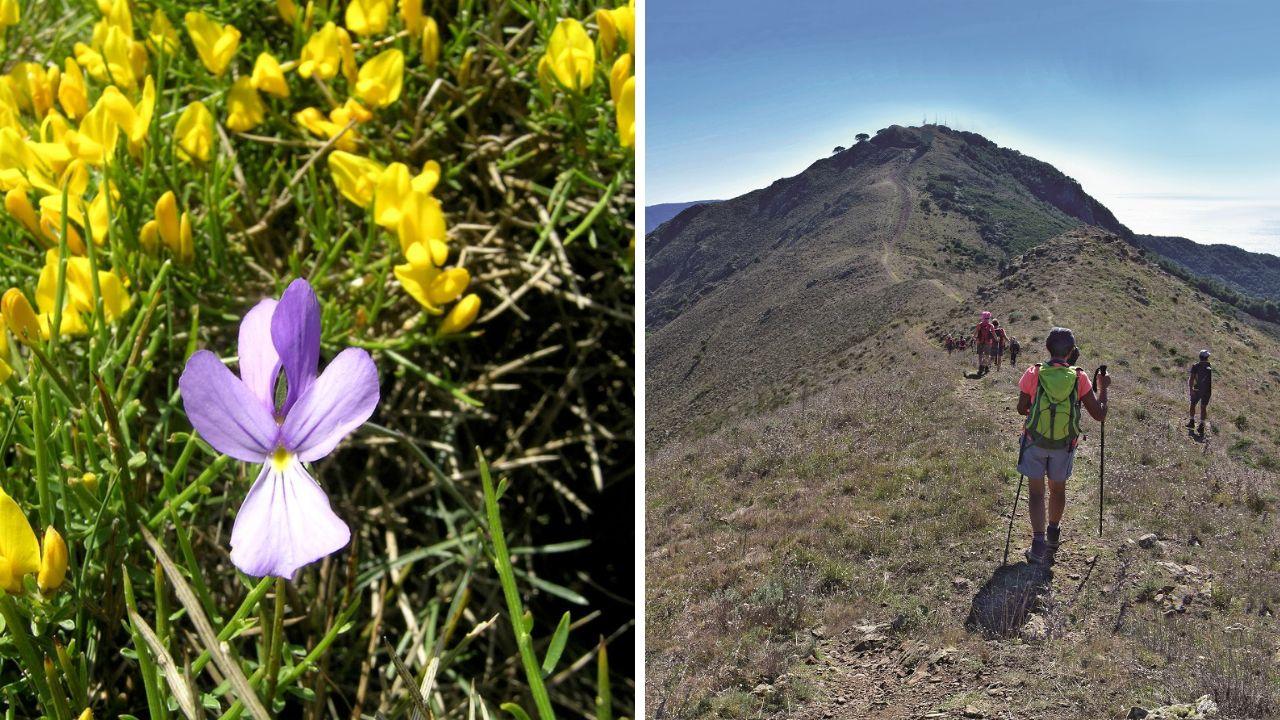 Trekking al profumo dei fiori dell’Elba: i due percorsi scelti, la durata e come prenotarsi
