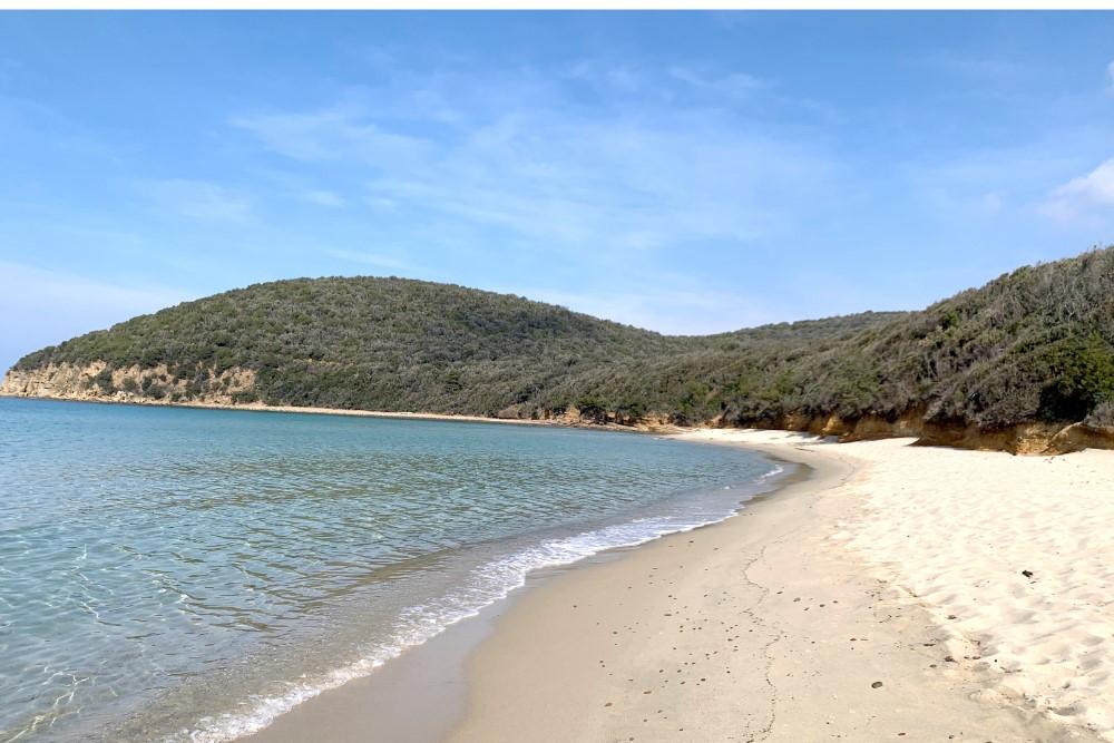 Cala Violina si tutela ancora: numero chiuso e altri divieti. Come prenotarsi