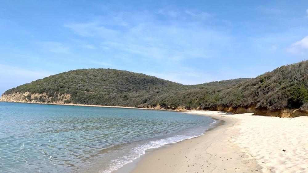 Cala Violina si tutela ancora: numero chiuso e altri divieti. Come prenotarsi