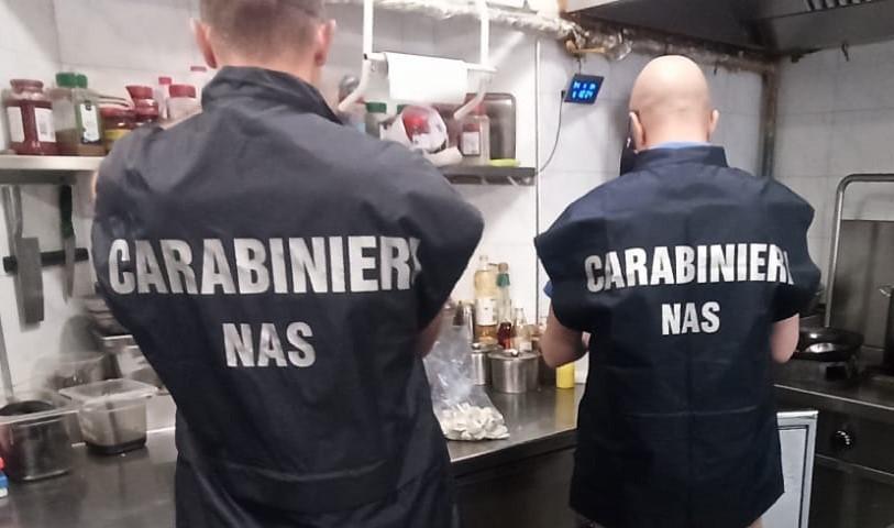 Modena, scarafaggi e sporcizia in cucina e nel bar: chiuso un ristorante della Bassa