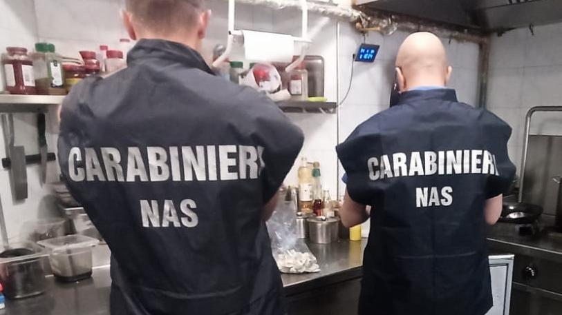 Modena, scarafaggi e sporcizia in cucina e nel bar: chiuso un ristorante della Bassa
