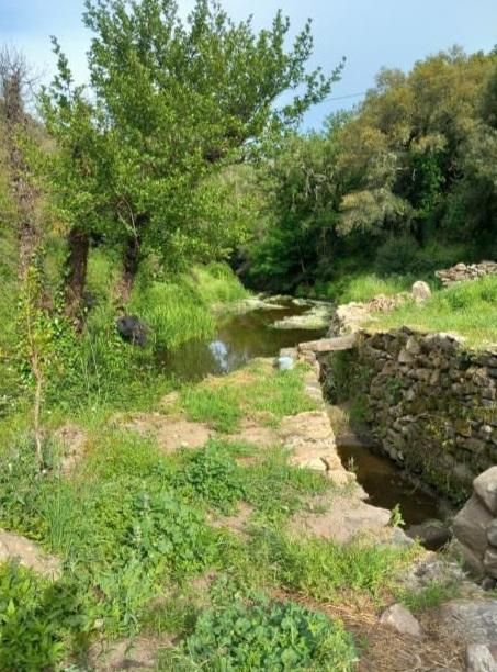 
	I resti di un antico mulino a Samugheo

