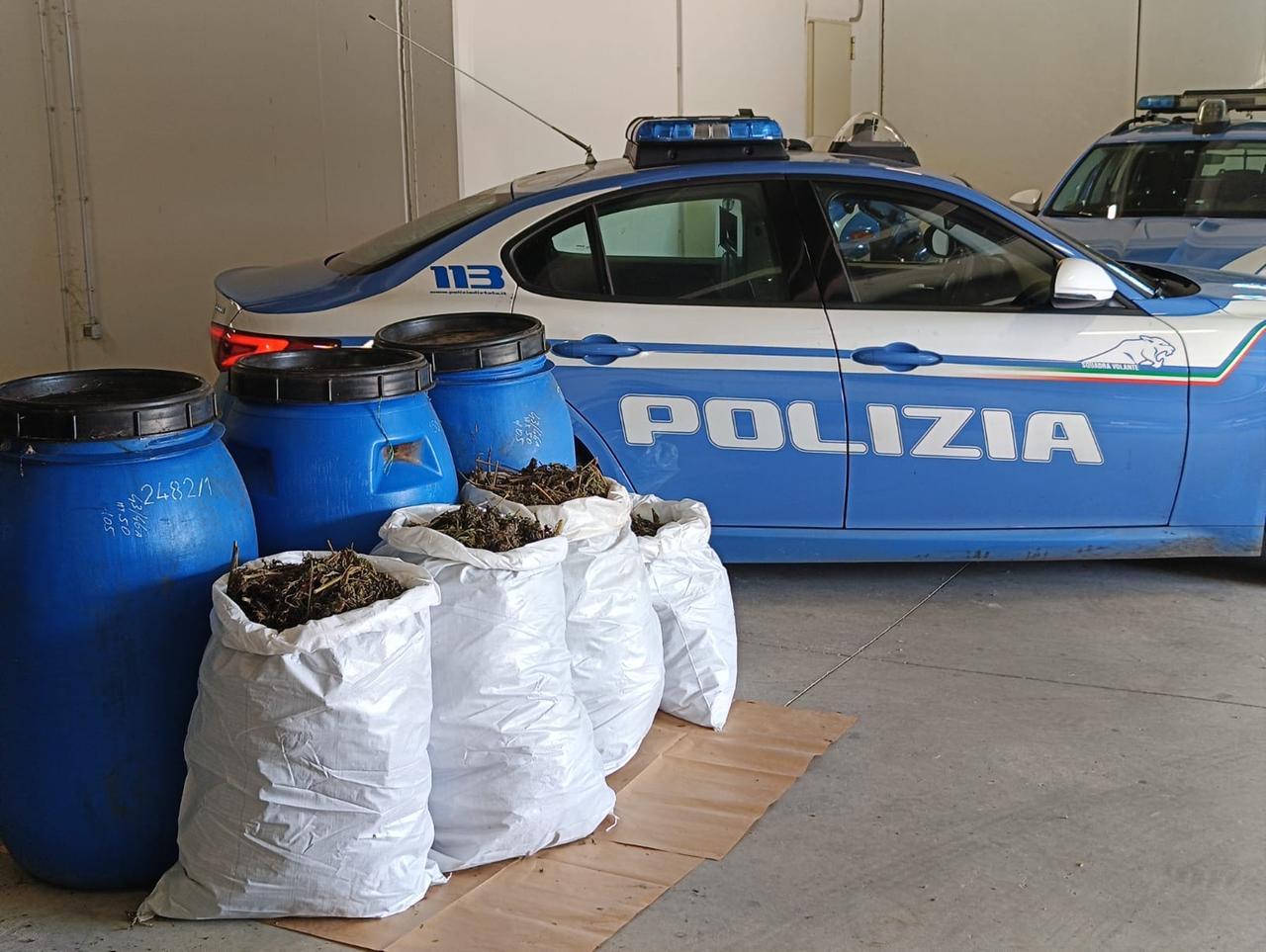 Orosei, venti chili di marijuana ritrovati e sequestrati dalla polizia di Stato
