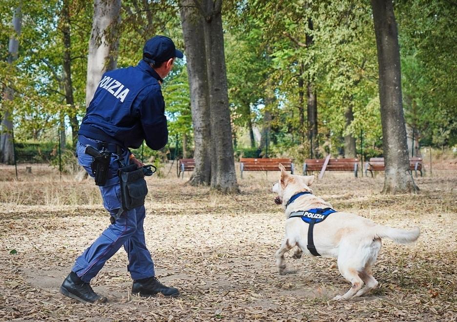 Empoli, trova due etti di droga su un albero mentre passeggia con il cane