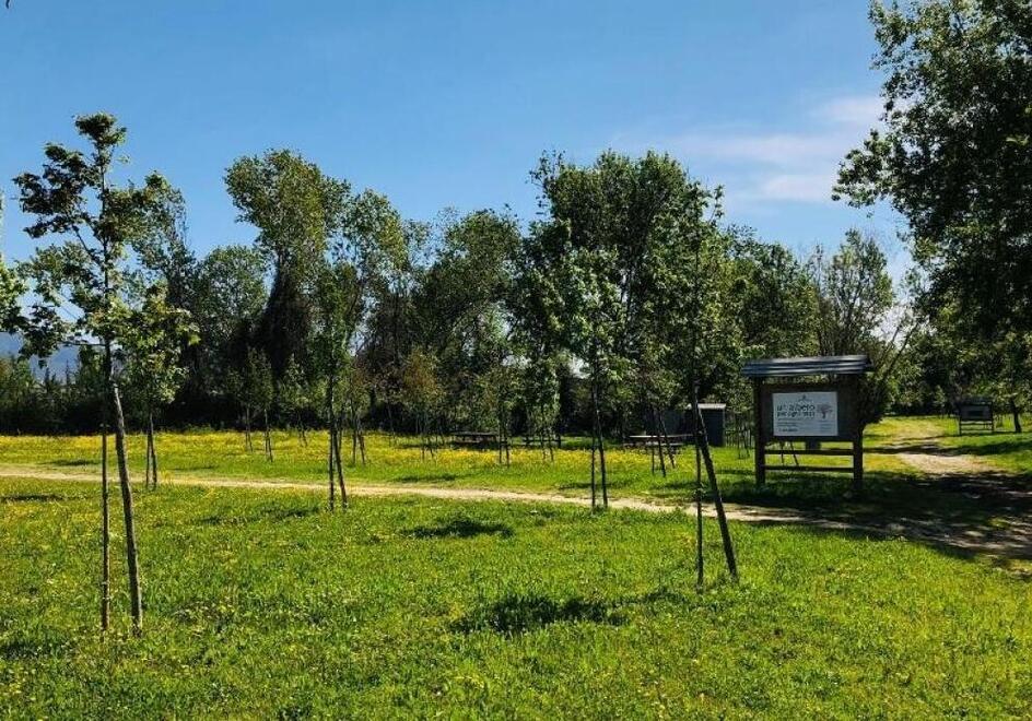 Pisa, si amplia il parco verde a Cisanello: i costi, i tempi e il progetto