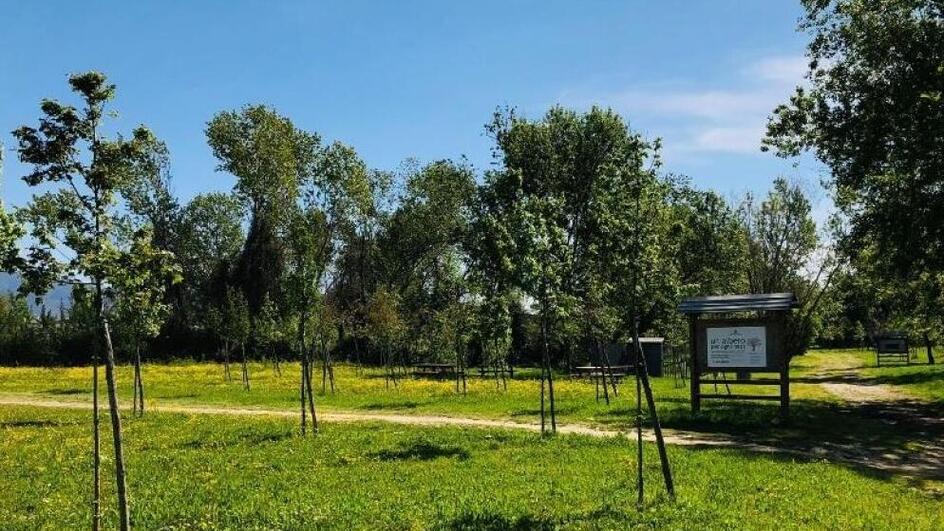 Pisa, si amplia il parco verde a Cisanello: i costi, i tempi e il progetto