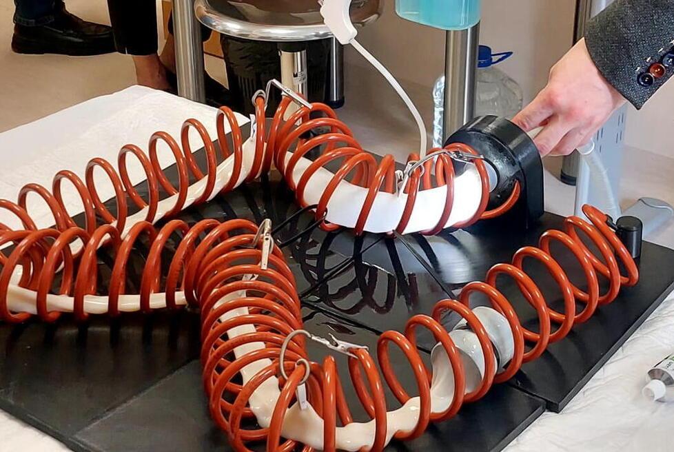 Lo strumento, oltre ad essere indolore è anche sicuro, ed evita possibili rischi di infezione