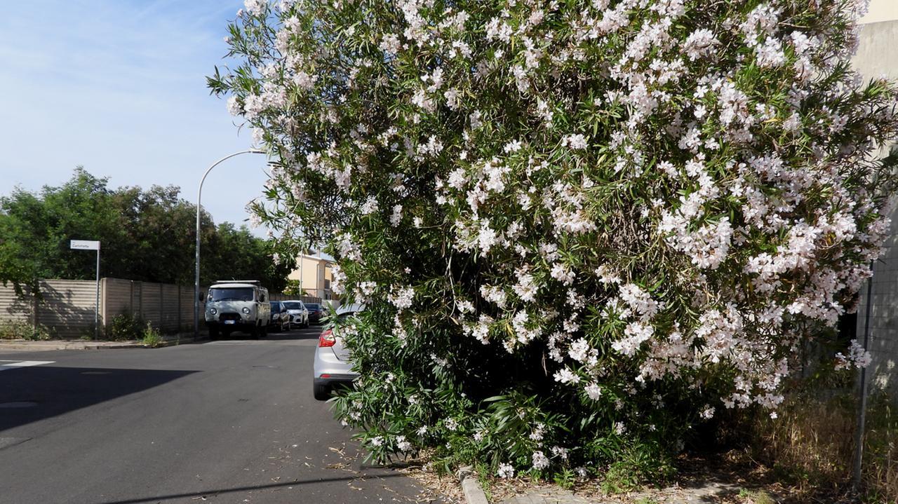 Marciapede impraticabile in via Olbia