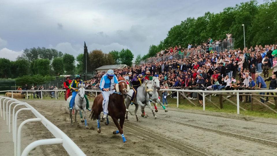 Palio di Fucecchio 2024, le monte e chi sono le contrade favorite