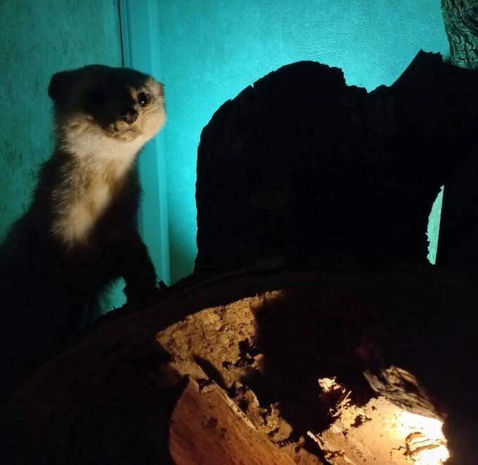 Torna la magica Notte dei Musei tra visite guidate e performance