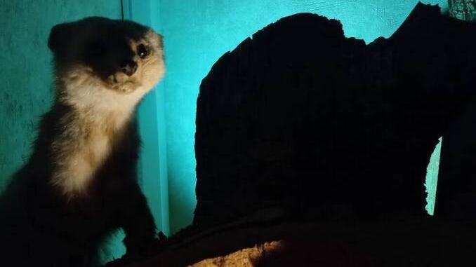 Torna la magica Notte dei Musei tra visite guidate e performance