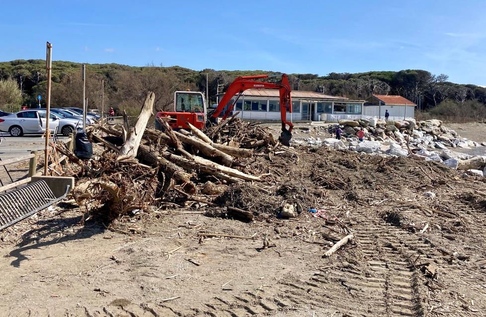 
	Escavatori al lavoro per accumulare il legname su una spiaggia di Cecina


