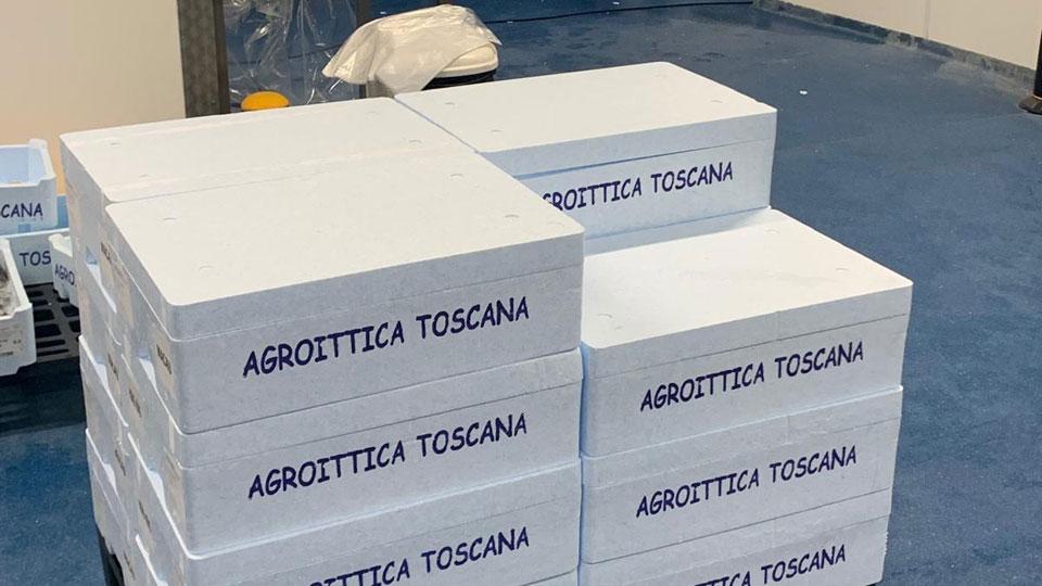 
	Il confezionamento del pescato all&rsquo;interno dell&rsquo;impianto realizzato da Agroittica Toscana sul porto di Piombino

