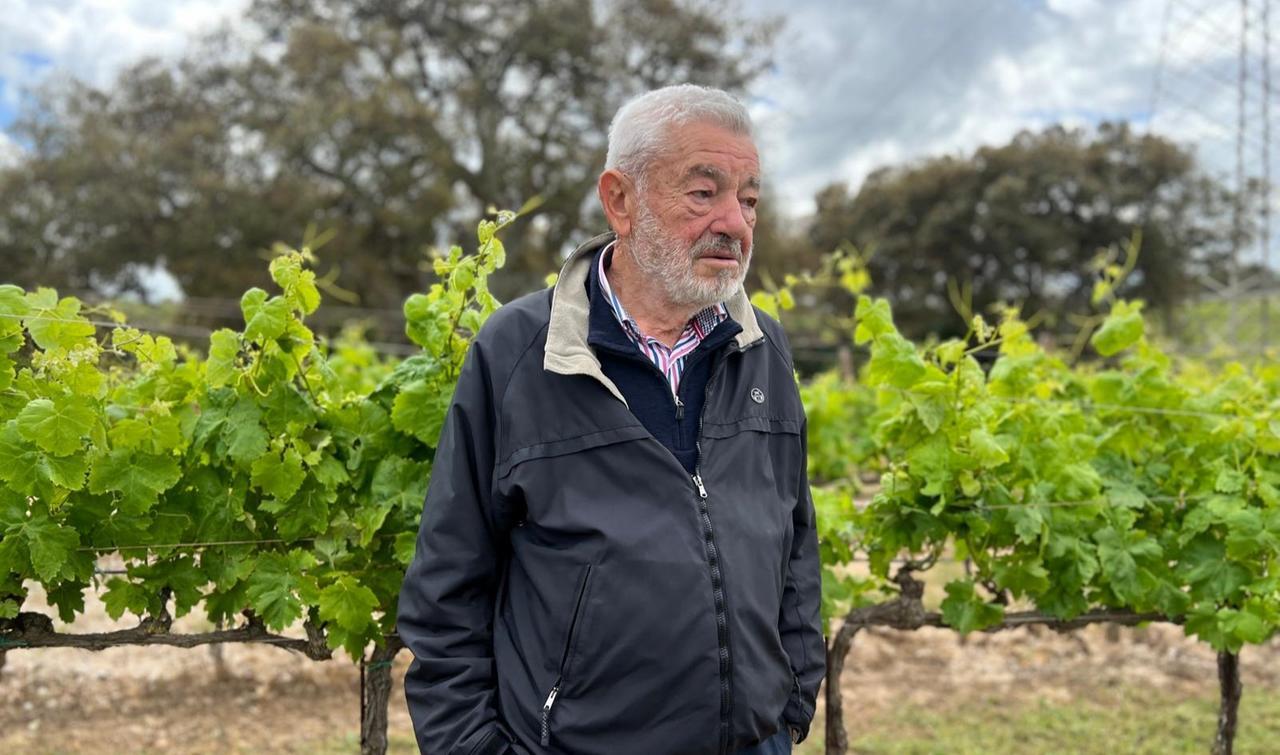 Le 60 vendemmie del re degli enologi Giampaolo Parpinello