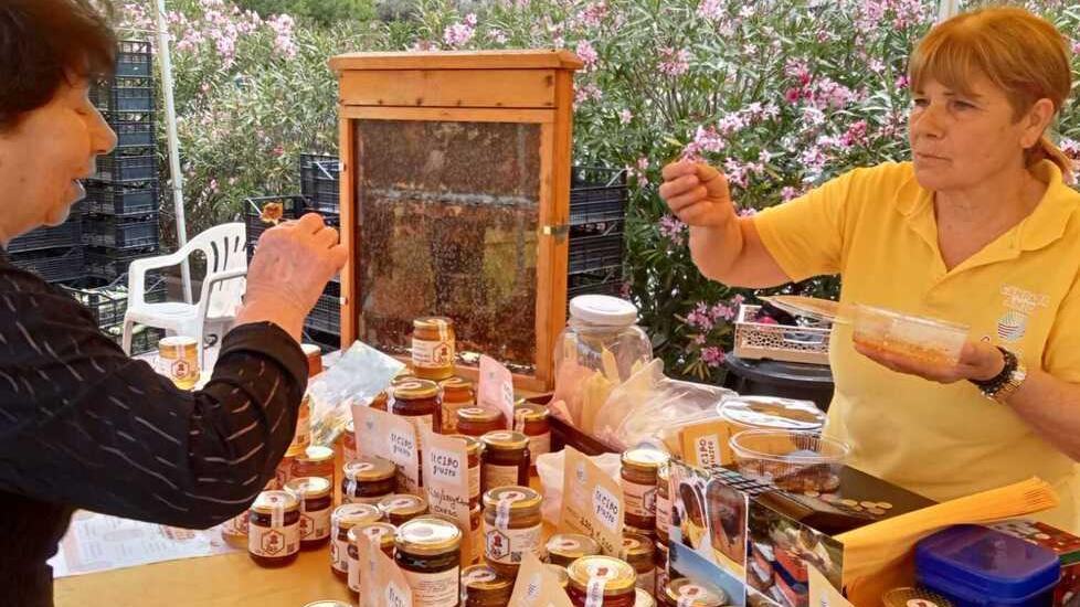 Import e clima impazzito minacciano il miele sardo