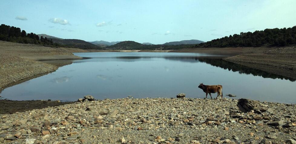 Siccità, è emergenza totale. Ambrogio Guiso: «Prepariamoci alle autobotti»