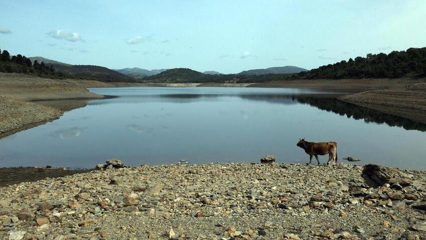 Siccità, è emergenza totale. Ambrogio Guiso: «Prepariamoci alle autobotti»