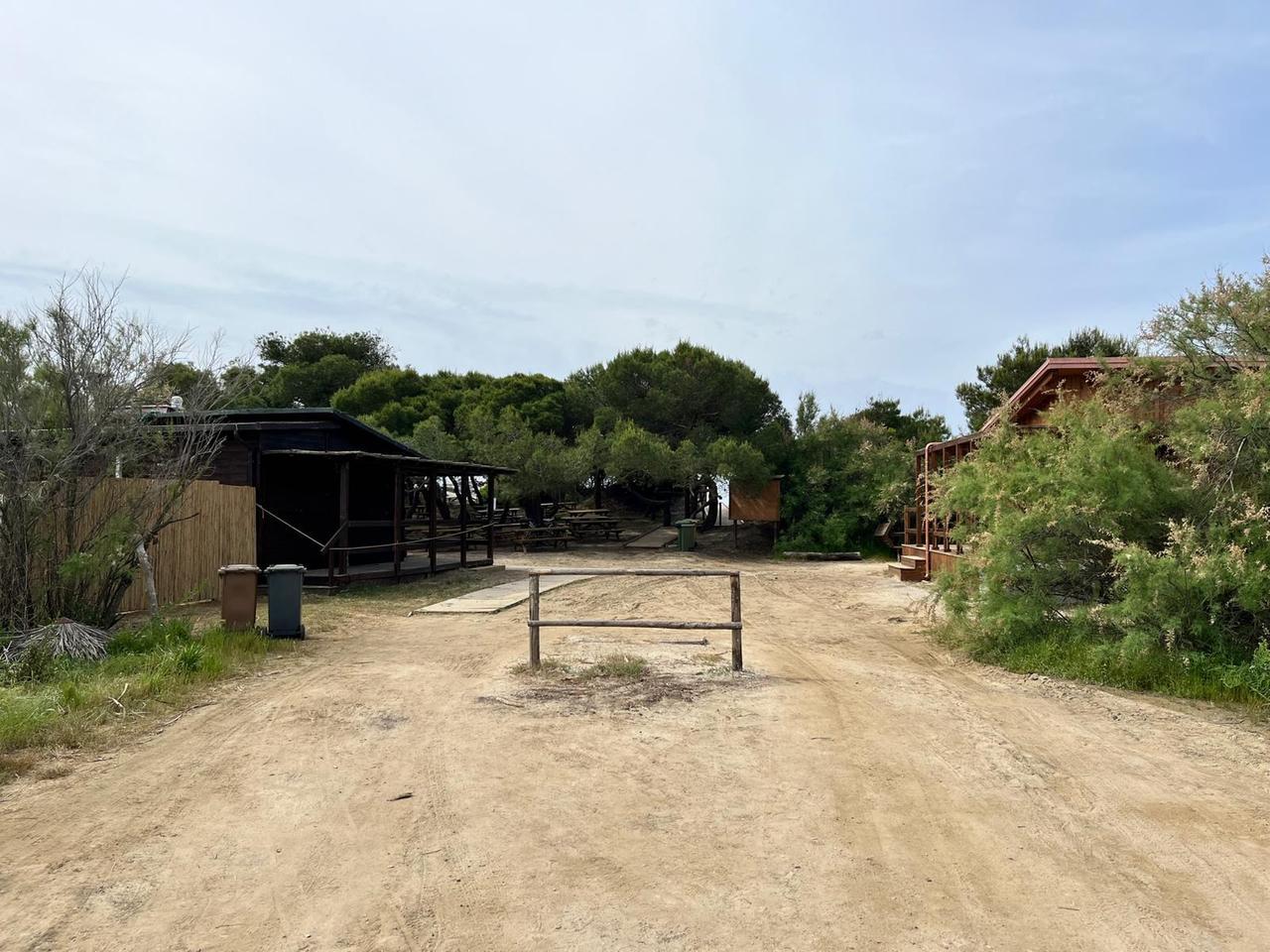 
	L'area e le strutture del Pino date in concessione

