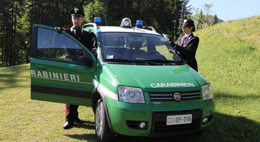 
	Due carabinieri forestali (foto d'archivio)

