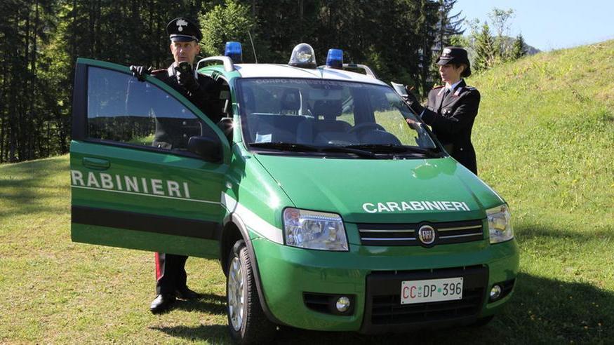 Due carabinieri forestali (foto d'archivio)