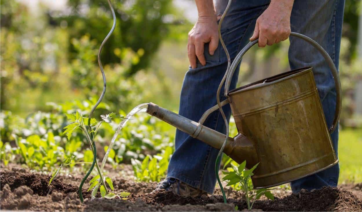 Siniscola, sorpreso a innaffiare nonostante i divieti spara contro gli operai del consorzio di bonifica