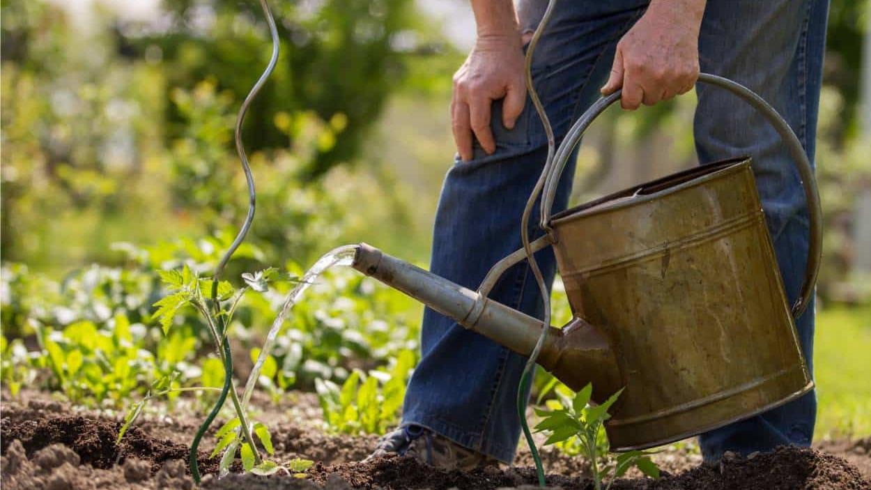 Siniscola, sorpreso a innaffiare nonostante i divieti spara contro gli operai del consorzio di bonifica
