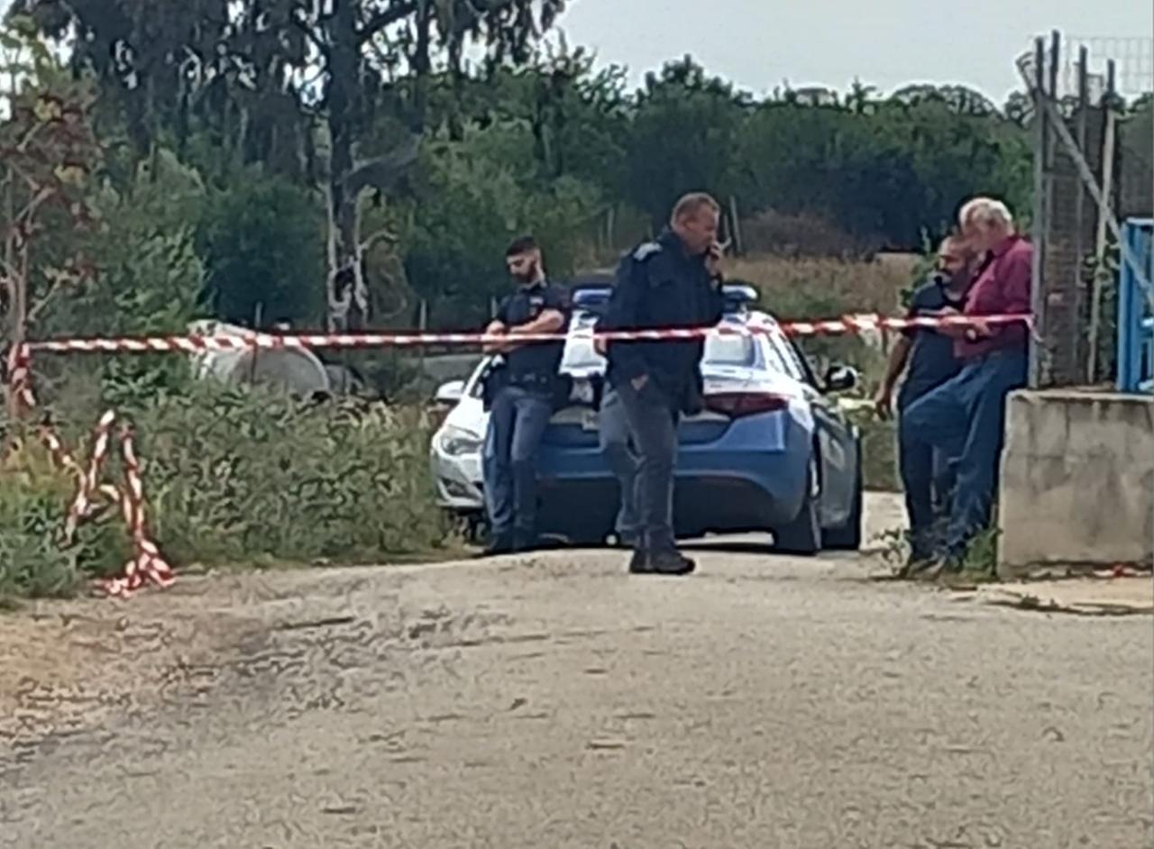 Spari a Siniscola, Ambrogio Guiso: «Occorre dare risposte immediate alle aziende agricole»
