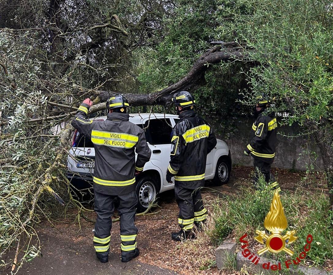 Sassari, a Monte Bianchinu un ramo precipita su un’auto in sosta
