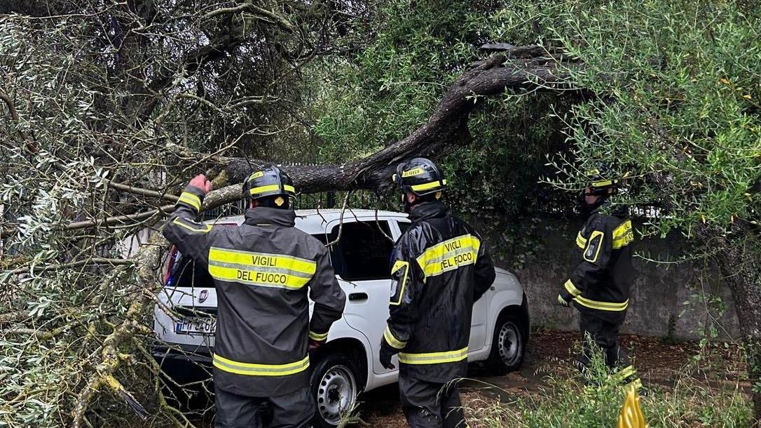 Sassari, a Monte Bianchinu un ramo precipita su un’auto in sosta