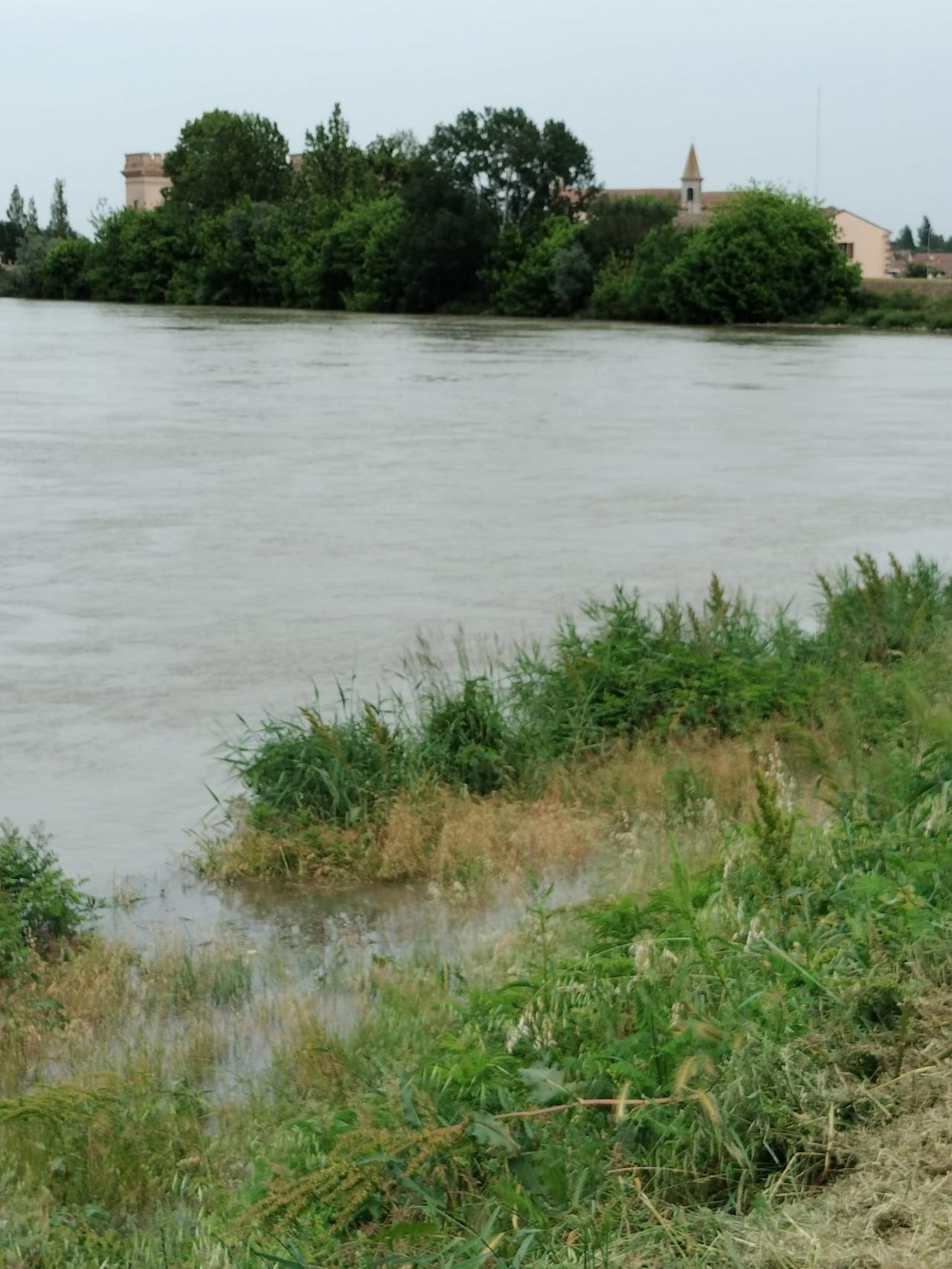 Piena del Po: fiume sorvegliato speciale tra Goro, Mesola e i Lidi di Comacchio