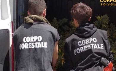 Bracconiere sorpreso e denunciato a Villaurbana