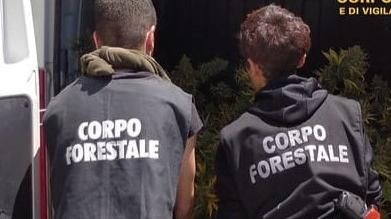 Bracconiere sorpreso e denunciato a Villaurbana