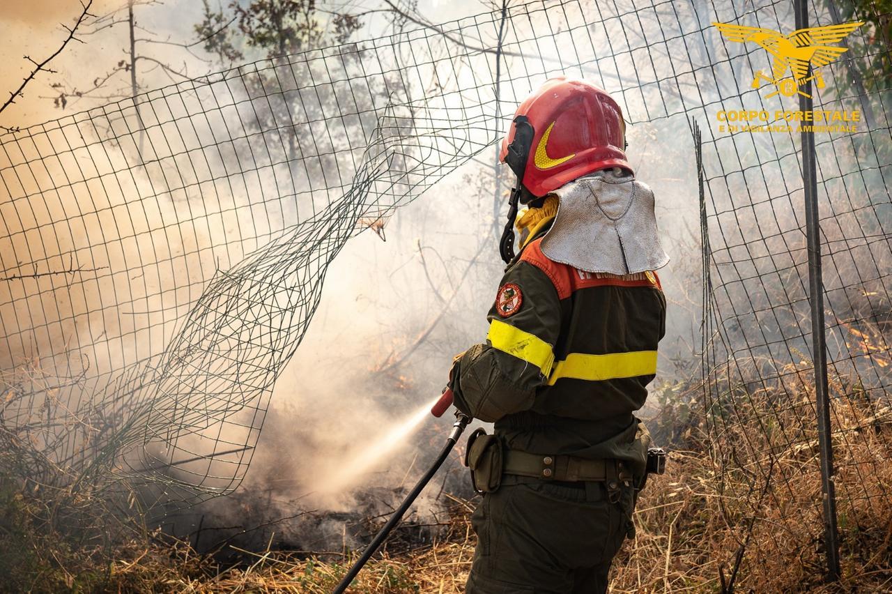 Ha un malore mentre spegne un incendio a Cardedu: agente forestale ustionato trasportato a Sassari col l’elisoccorso