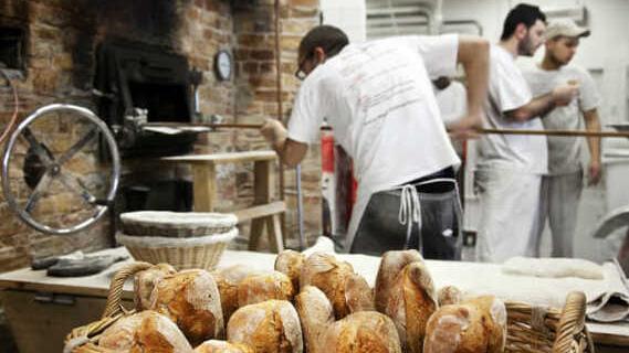 Prato, nasce l’Accademia del pane: è l’alternativa all’università. I due progetti per gli studenti